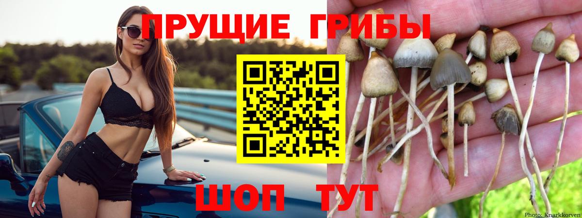 Галлюциногенные грибы мухоморы  Вход с VPN  Медногорск 